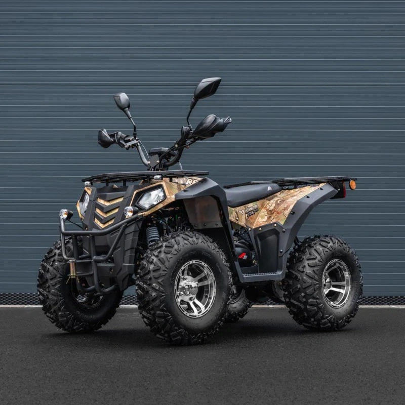Leramotors By APOLLO RFZ 250 T3B