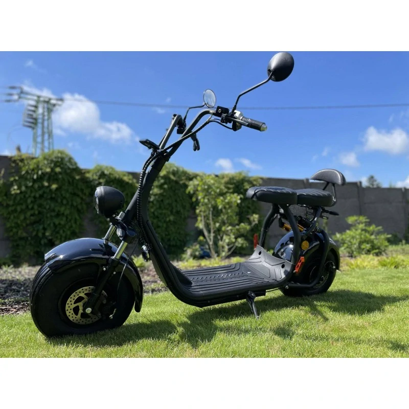 Lera Scooters C1+ 1500W Černá