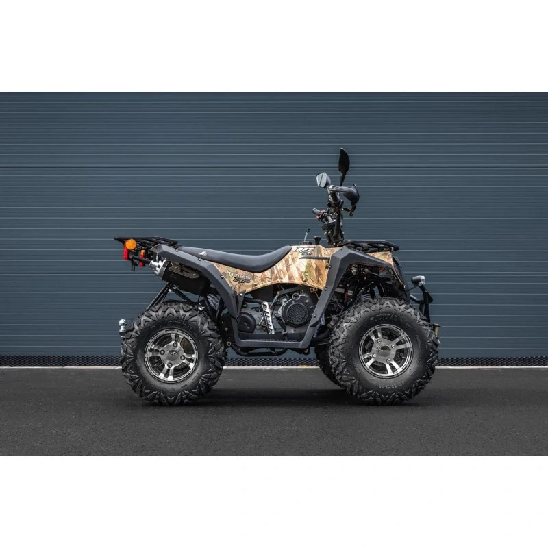 Leramotors By APOLLO RFZ 250 T3B