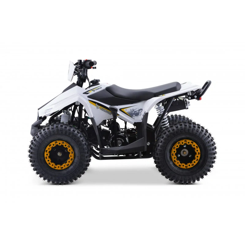 Leramotors Monkey 125 ccm Automat žlutá