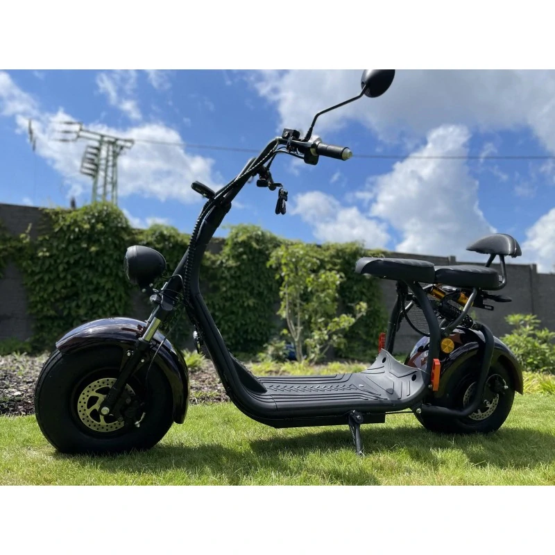 Lera Scooters C1+ 1500W Hnědá