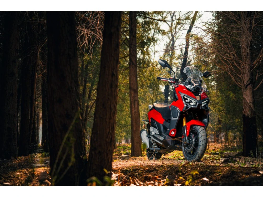 TUMOTO XDV 300