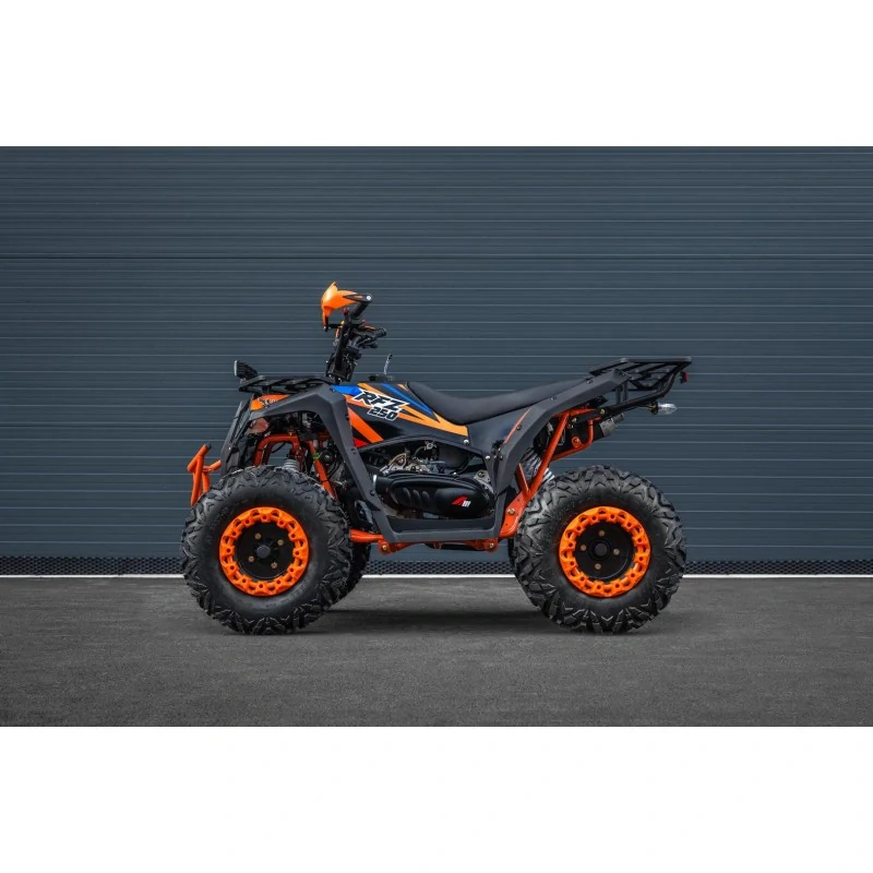 Leramotors By APOLLO RFZ 250