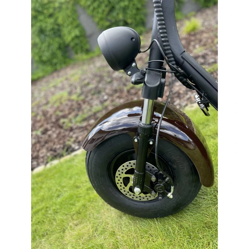 Lera Scooters C1+ 1500W Hnědá