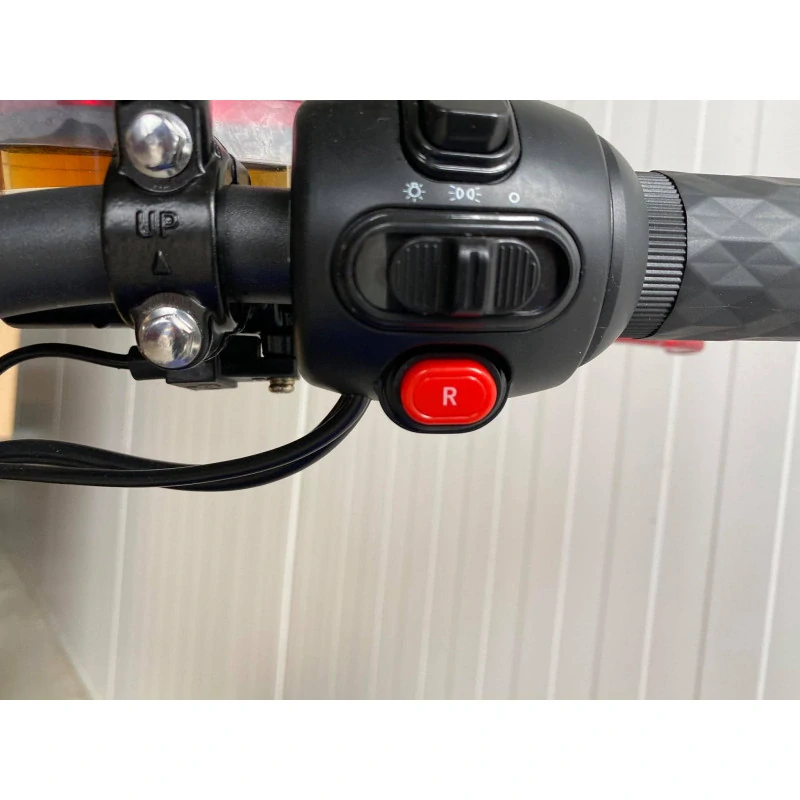Lera Scooters C8 2000W černá