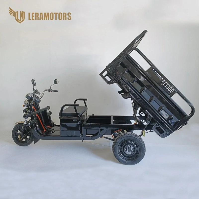 Elektrická nákladní tříkolka Leramotors Cargo G1 1000W - Tuk Tuk Černá