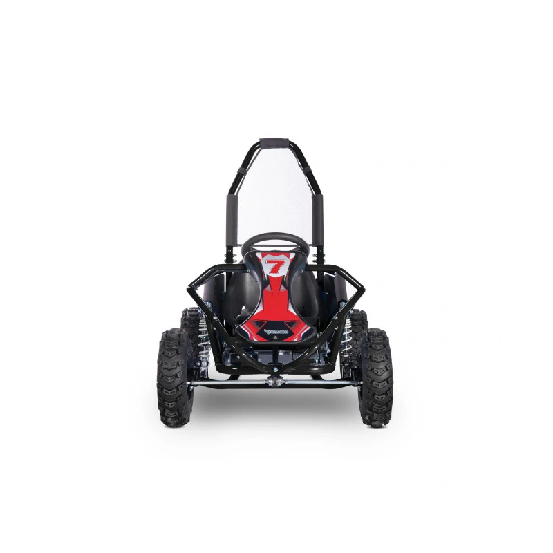 Buggy Leramotors Razor 1000W Černá